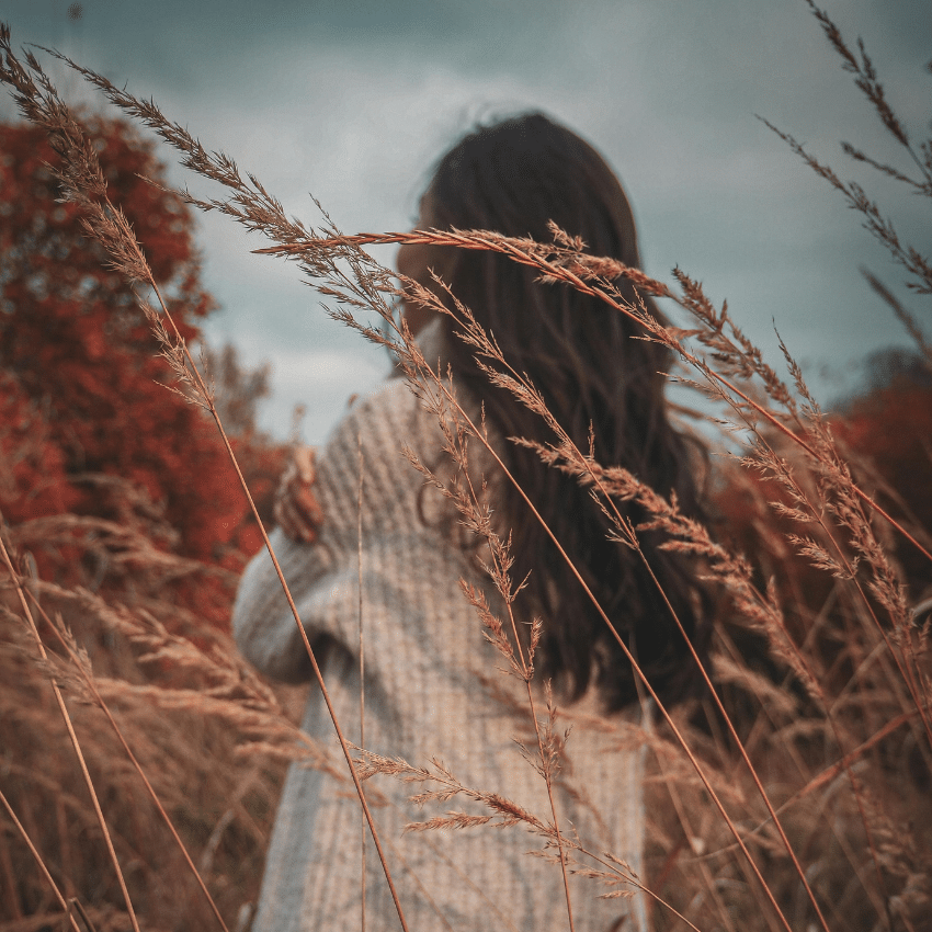 A brunette woman wears a cozy-looking cream sweater. She is facing away from the camera and there are autumnal looking wheat stalks around her.