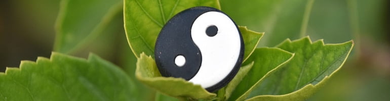 Ying & Yang