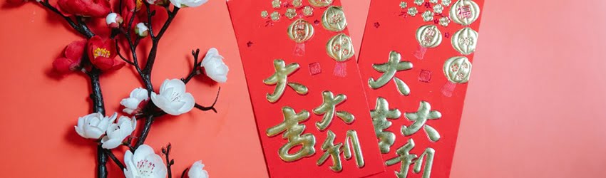 Two red cards embellished with gold Chinese writing sit next to cherry branch blossoms on a bright pink background.