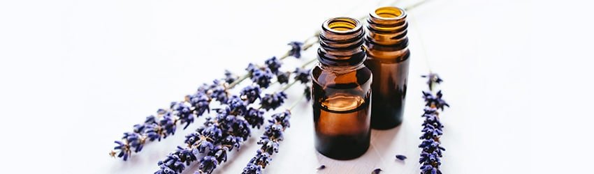 Essential oils in brown bottles with lavender next to it.
