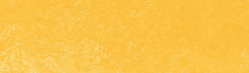 the-color-yellow