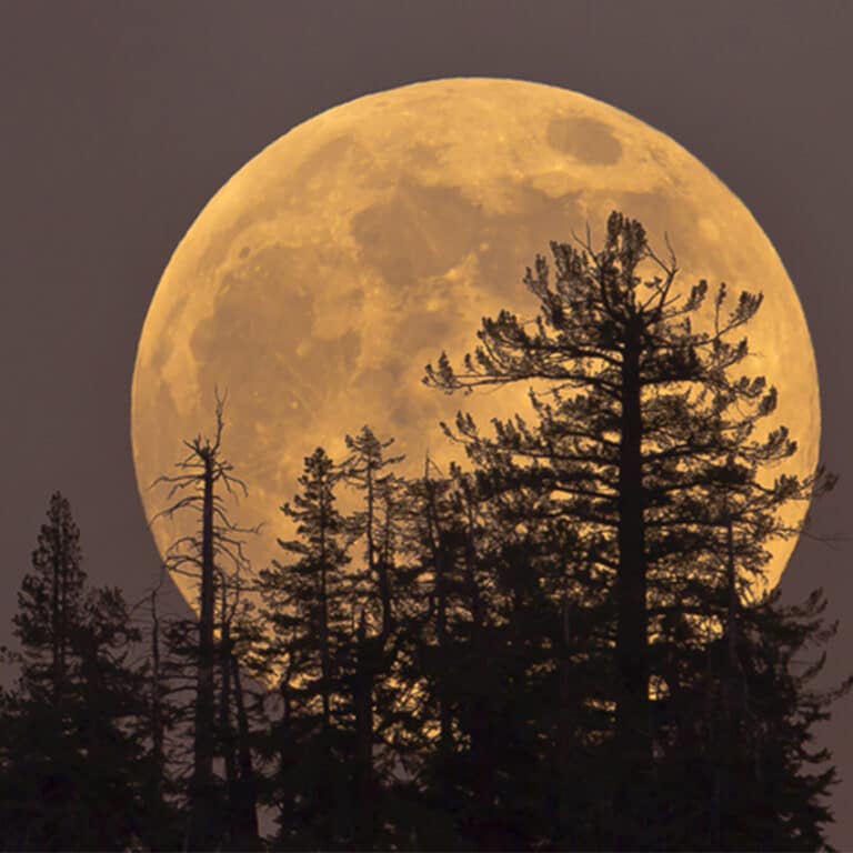 December's Supermoon What You Need to Know