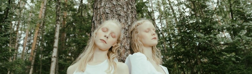 twins-in-a-forest