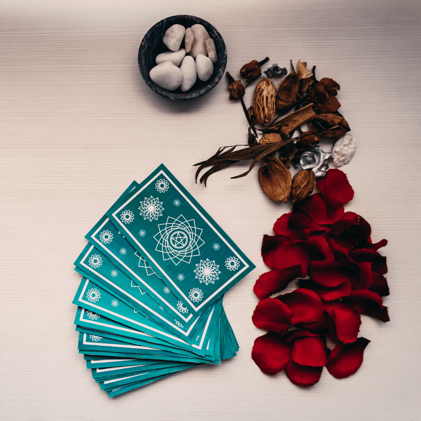 blue tarot cards spread out on a white beside red flower petals