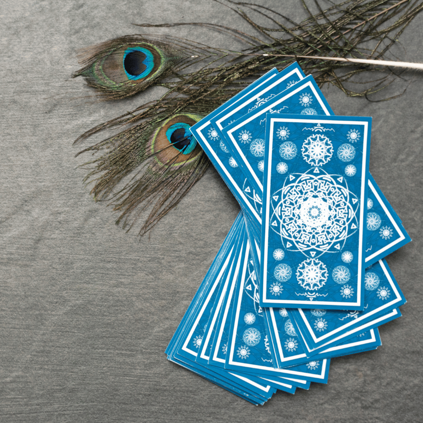 blue tarot cards spread on a grey table with peacock feathers
