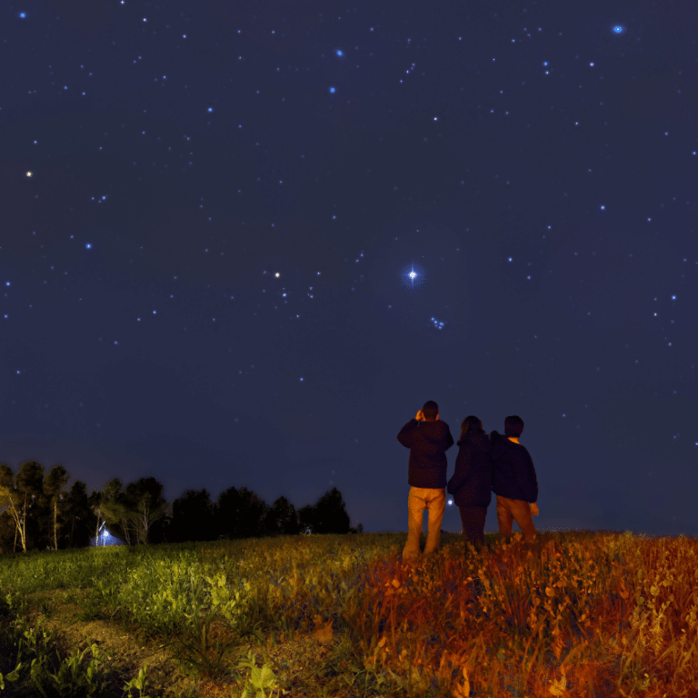 three people in an open field gazing up at a starry blue night sky