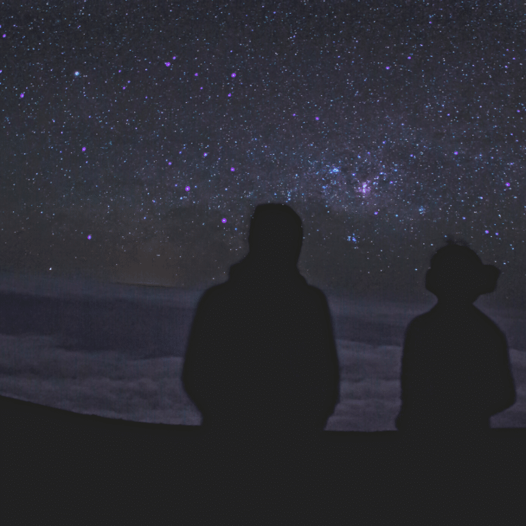 two silhouettes starring at a dark purple starry sky