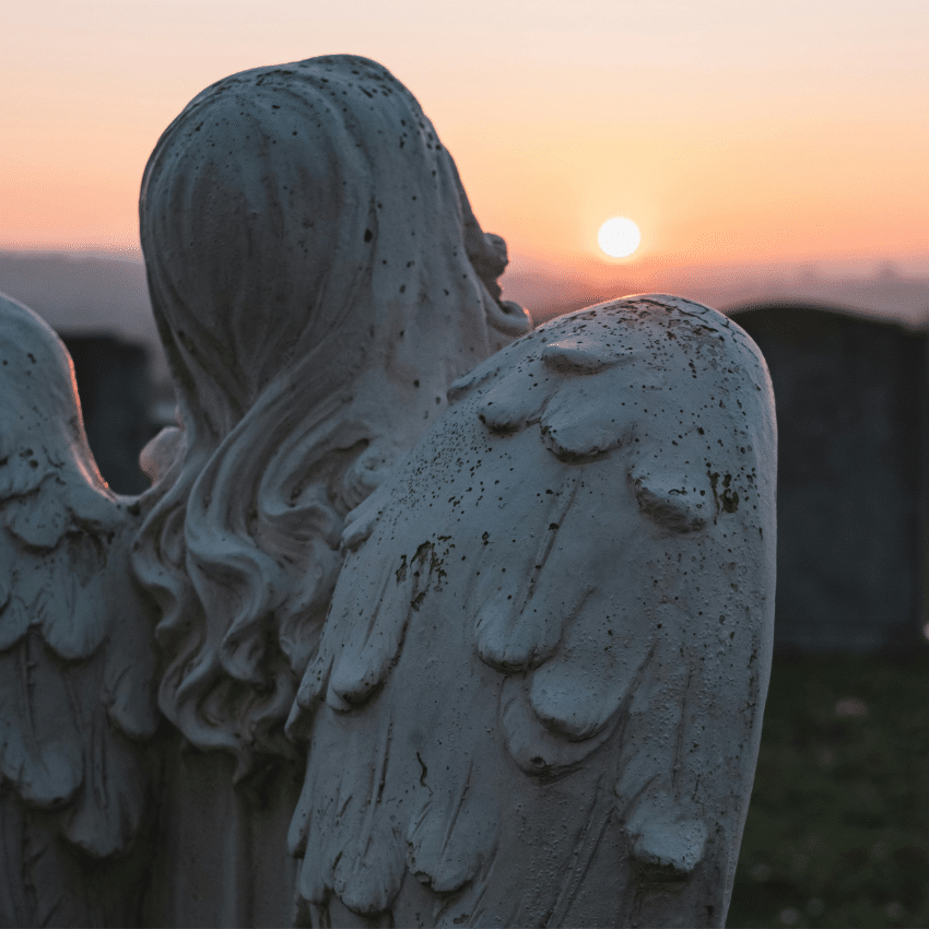 The back of an angel sculpture is shown with a sunset in the background.