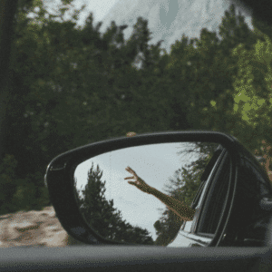 A hand point towards the sky in a rear view mirror of the car. past the mirror is a forest and mountain to represent the final week of Taurus season energy for this week's astrological forecast.