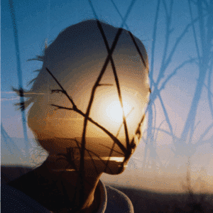 The outline of a woman's face in a sunset.