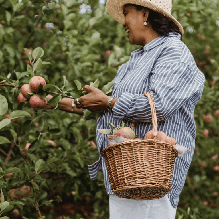 A woman picks apples and puts them in a basket.
