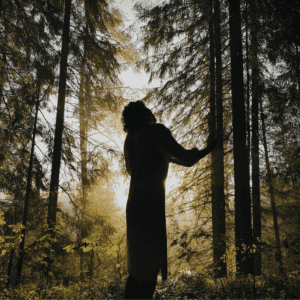 A shadowed figure stands among dark trees with a small strip of light peeking out.