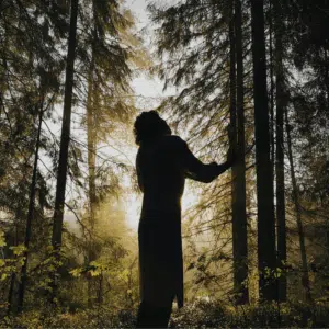 A shadowed figure stands among dark trees with a small strip of light peeking out.