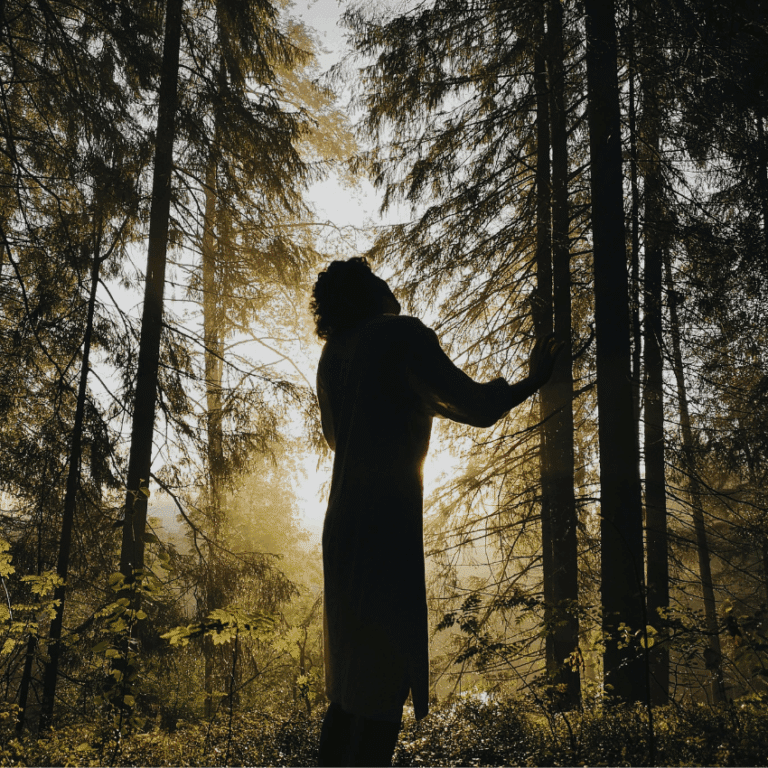 A shadowed figure stands among dark trees with a small strip of light peeking out.