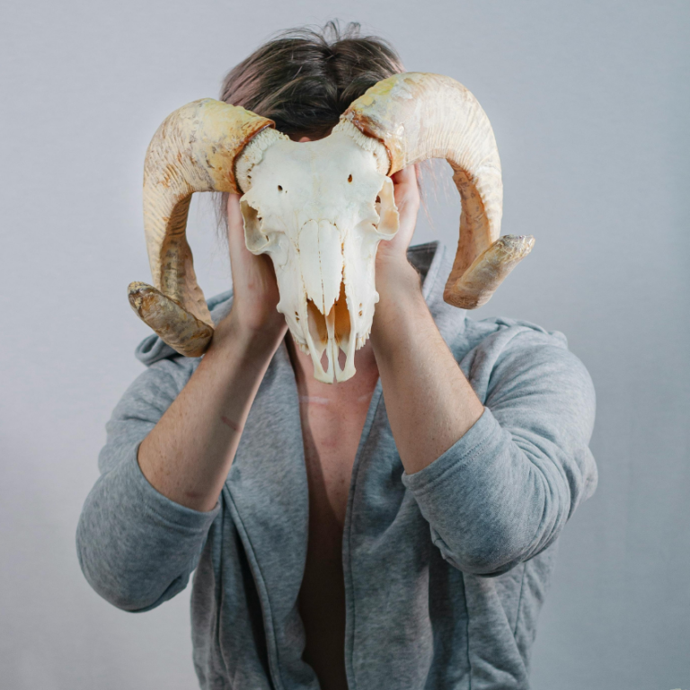 A person wearing a grey hoodie holds up a ram skull covering their face to represent Aries zodiac sign.